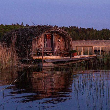 Bebru Maja - Beaver House Usma Ngoại thất bức ảnh