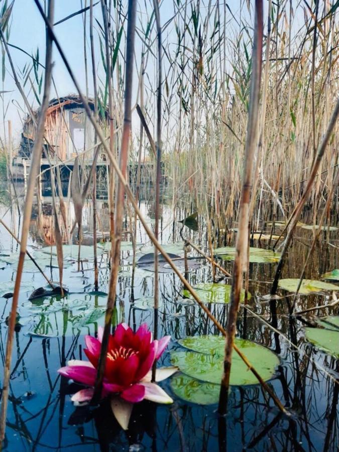 Bebru Maja - Beaver House Usma Ngoại thất bức ảnh