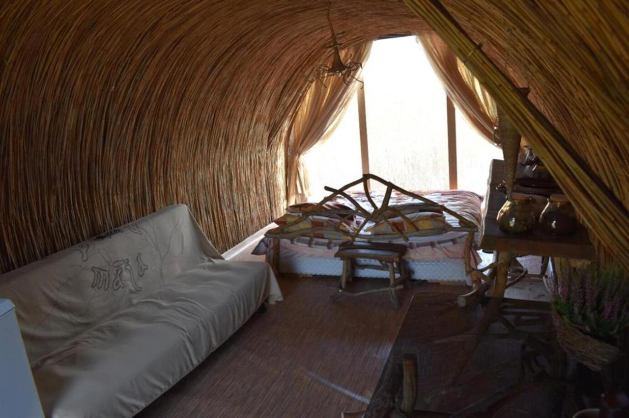 Bebru Maja - Beaver House Usma Ngoại thất bức ảnh
