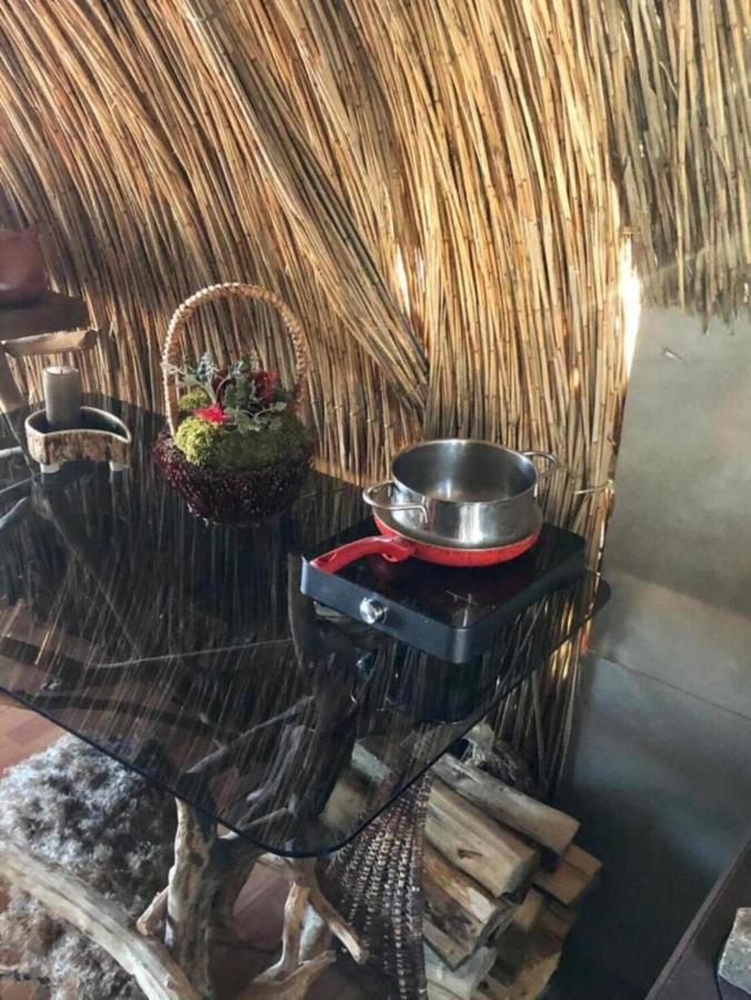 Bebru Maja - Beaver House Usma Ngoại thất bức ảnh