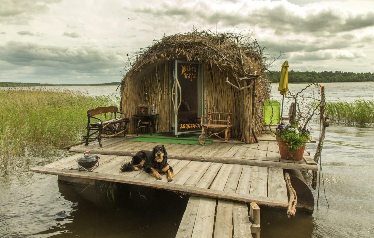 Bebru Maja - Beaver House Usma Ngoại thất bức ảnh